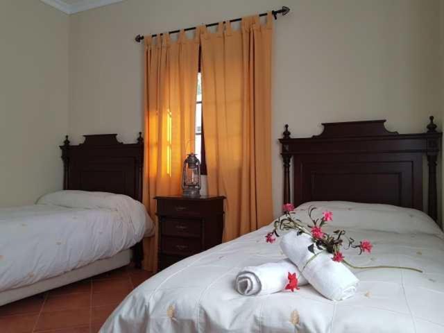 Vivienda Rural Casa Sofia Villa Ubrique Ngoại thất bức ảnh