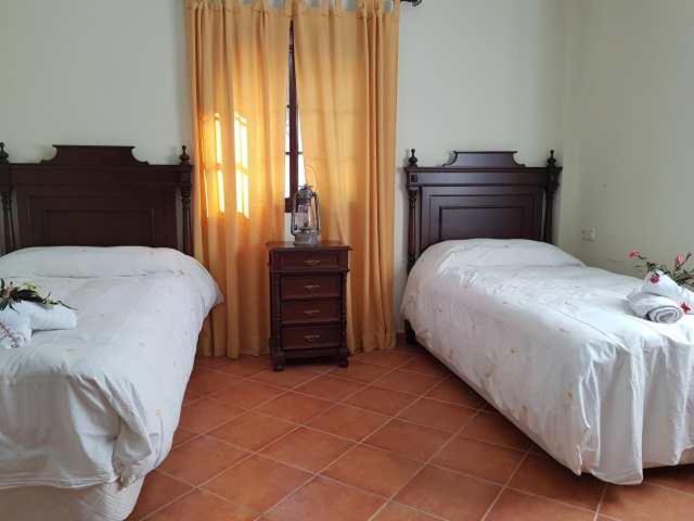 Vivienda Rural Casa Sofia Villa Ubrique Ngoại thất bức ảnh